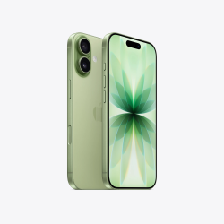 Apple iPhone 17 8/256GB, 5G, Dual Sim, Sage pametni telefon